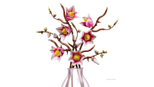 Load image into Gallery viewer, LEGO® Botanicals Magnolia Branches - 11510