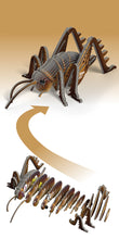 Load image into Gallery viewer, Giant Weta