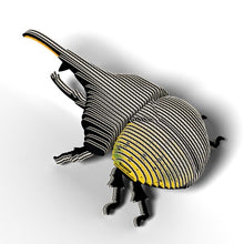 Load image into Gallery viewer, Hercules Beetle