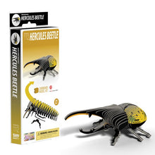 Load image into Gallery viewer, Hercules Beetle
