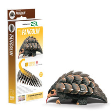 Load image into Gallery viewer, Pangolin - BEST SELLER