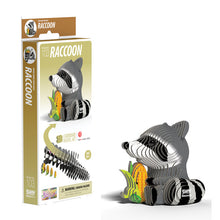 Load image into Gallery viewer, Raccoon
