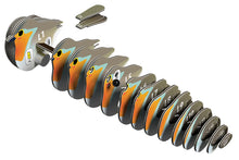 Load image into Gallery viewer, Robin - BEST SELLER