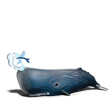 Load image into Gallery viewer, Available now - Sperm Whale - NEW!