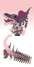 Load image into Gallery viewer, Spino