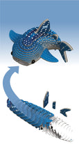 Load image into Gallery viewer, Whale Shark - BEST SELLER