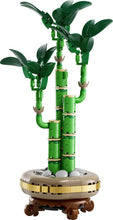 Load image into Gallery viewer, LEGO® Lucky Bamboo - 10344
