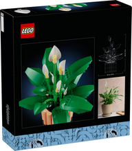 Load image into Gallery viewer, Available now - LEGO® Botanicals Peace Lilly - 11504 - NEW!
