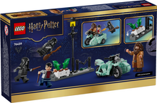 Load image into Gallery viewer, LEGO® Harry Potter™ Hagrid and Harry's Privet Drive - 76459

