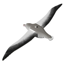 Load image into Gallery viewer, Royal Albatross
