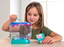 Load image into Gallery viewer, Aqua Dragons Hatch "N" Grow - BEST SELLER

