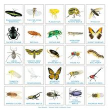 Load image into Gallery viewer, Bug Bingo - BEST SELLER
