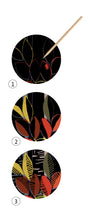 Load image into Gallery viewer, Djeco Scratch Boards - Halcyon Nights
