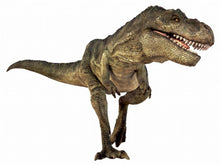 Load image into Gallery viewer, Torch and Projector - Natural History Museum Dinosaur - BEST SELLER
