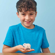 Load image into Gallery viewer, Sheep
