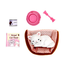 Load image into Gallery viewer, Pandora the Persian Cat
