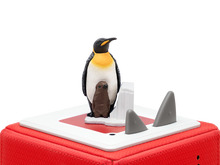 Load image into Gallery viewer, National Geographic Penguins - BEST SELLER
