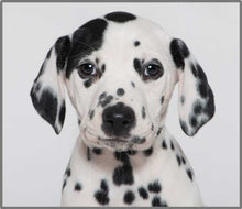 Load image into Gallery viewer, Torch and Projector - Puppy
