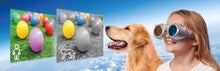 Load image into Gallery viewer, See the World Through Others Eyes - BEST SELLER
